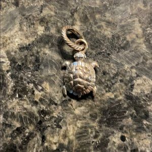 Brighton turtle charm